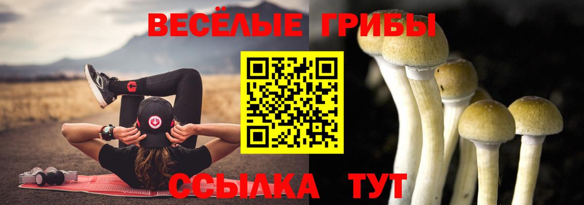 Тельмана  Псилоцибиновые грибы Cubensis  купить  сайты  Вход с VPN 